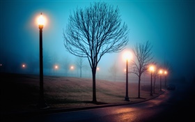 Город, ночь, туман, улица, парк, огни HD обои