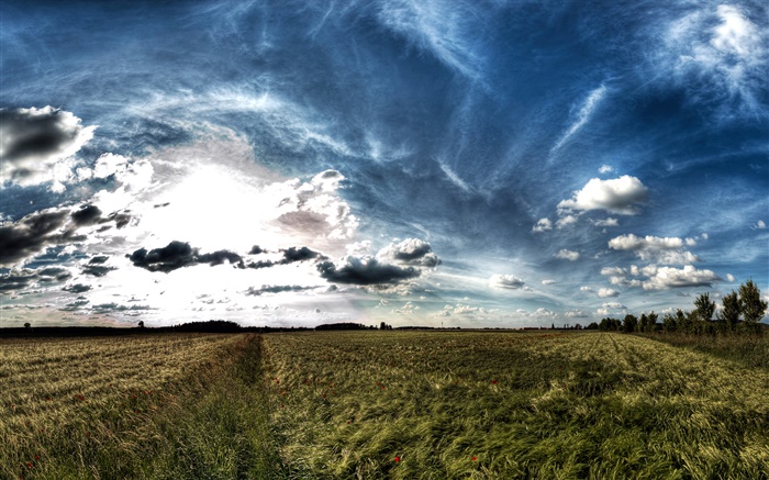 Облака, зеленые поля, природа пейзаж, сумерки обои,s изображение
