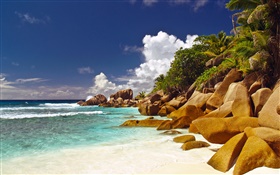 Побережье, пляж, камни, море, облака, Сейшельские острова HD обои
