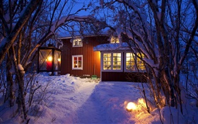 Страна коттедж, заснеженные деревья, Швеция, ночь, огни