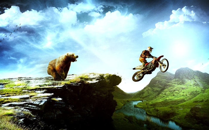 Творческие фотографии, медведь погони мотоцикл обои,s изображение