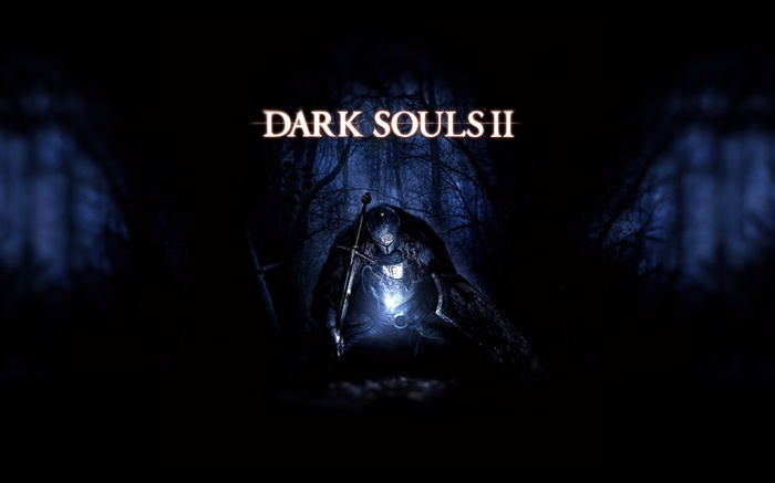 Dark Soul 2, ночной лес обои,s изображение