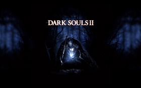 Dark Soul 2, ночной лес HD обои