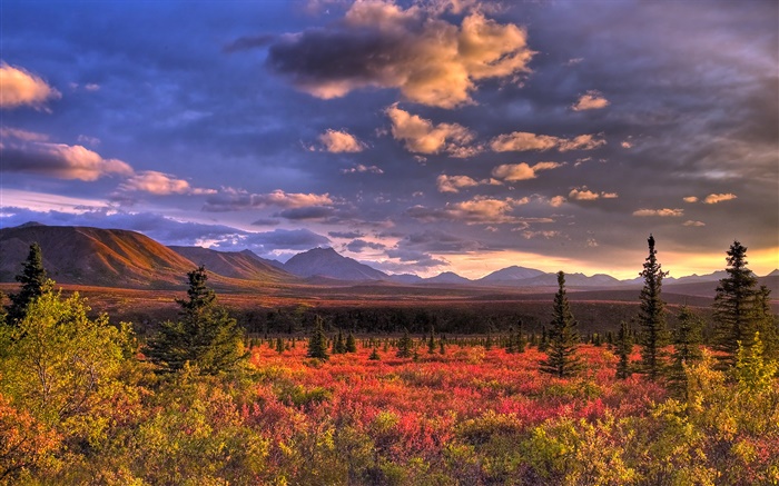 Национальный парк Денали, Аляска, США, облака, сумерки, трава обои,s изображение
