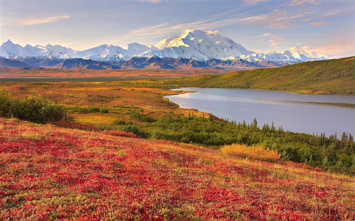 Национальный парк Денали, Аляска, США, трава, озеро, горы обои,s изображение