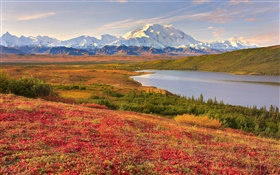 Национальный парк Денали, Аляска, США, трава, озеро, горы HD обои