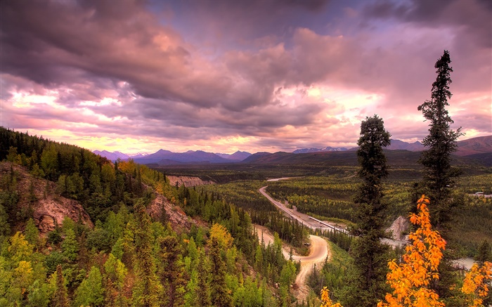 Национальный парк Денали, Аляска, США, дорога, деревья, облака обои,s изображение