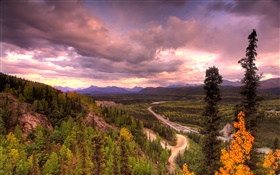 Национальный парк Денали, Аляска, США, дорога, деревья, облака