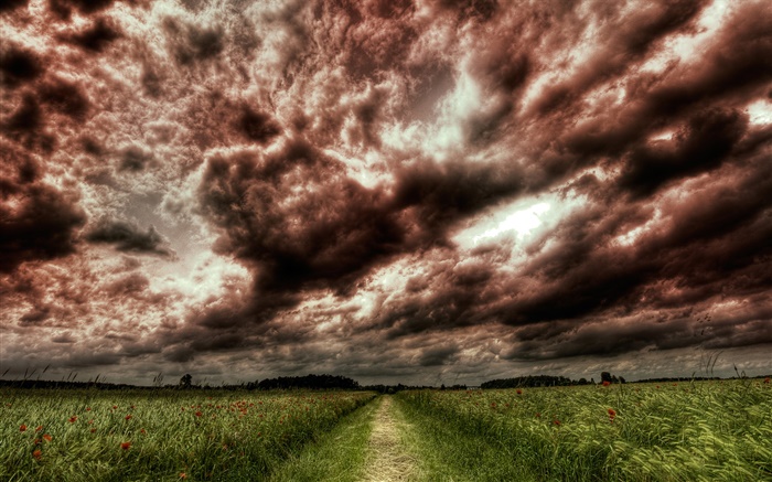 Сумерки, облака, путь, поля обои,s изображение