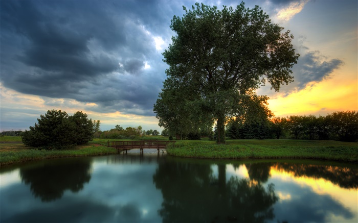 Сумерки, деревья, трава, вода отражение, закат обои,s изображение