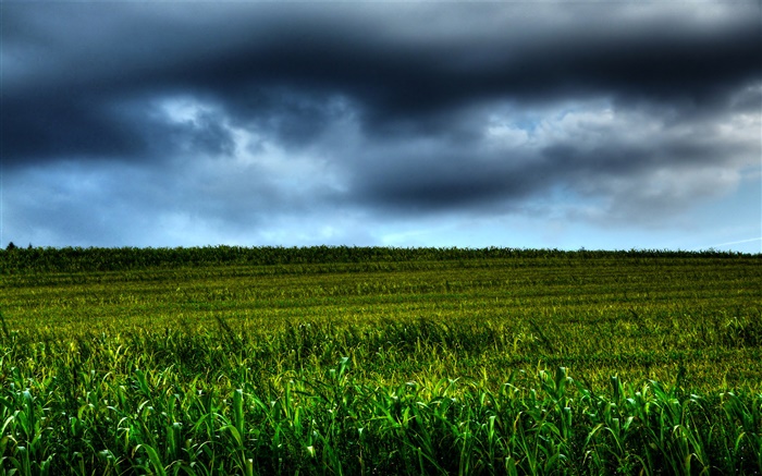 сельхозугодий пейзажи, облака, сумерки обои,s изображение