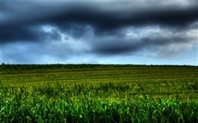 сельхозугодий пейзажи, облака, сумерки