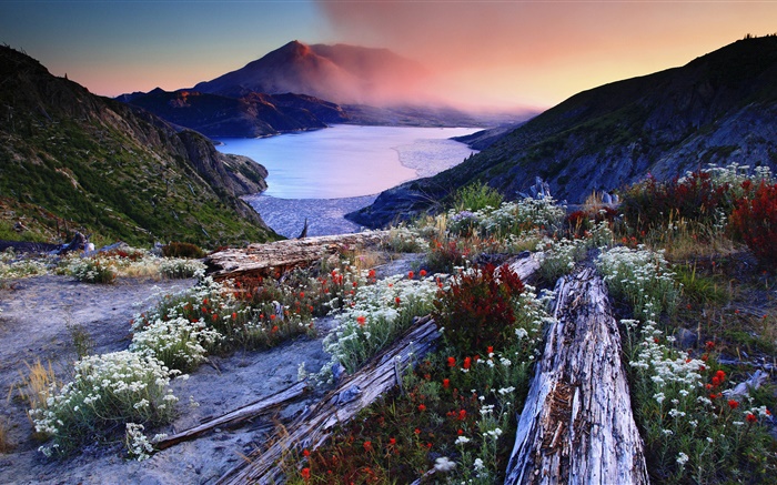 Цветы, склон, вулканические озера, деревья, горы, рассвет, туман обои,s изображение
