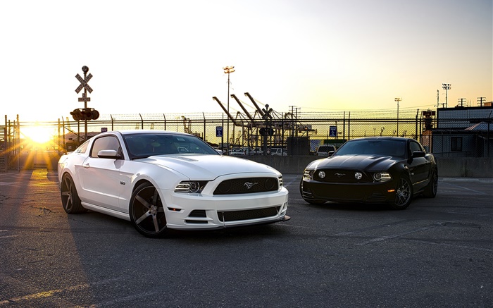 Ford Mustang белые и черные автомобили обои,s изображение