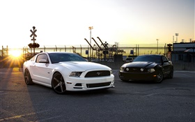 Ford Mustang белые и черные автомобили HD обои