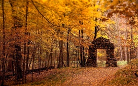 Лес, деревья, осень, красный стиль, каменные ворота HD обои