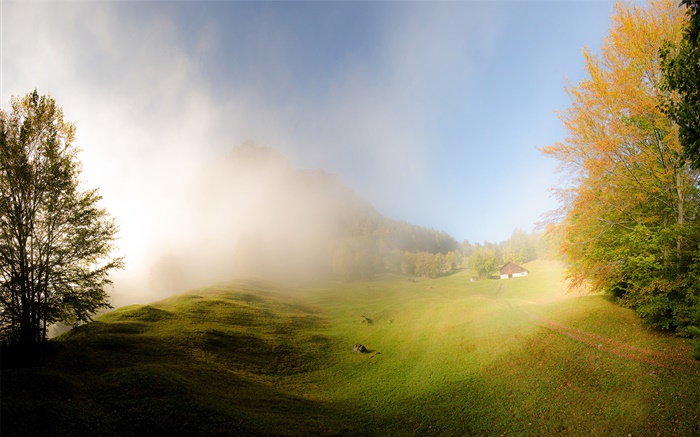 Трава, туман, утро, дом, Гларус, Швейцария обои,s изображение