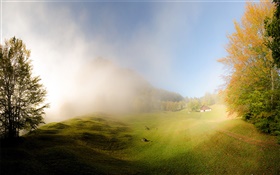Трава, туман, утро, дом, Гларус, Швейцария HD обои