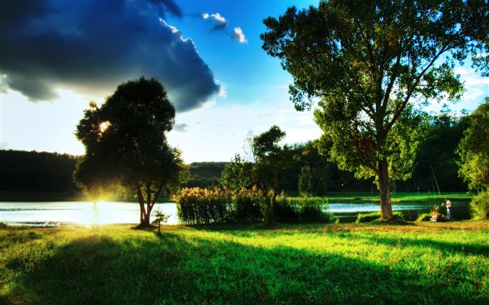 Трава, деревья, реки, солнце лучи, облака обои,s изображение