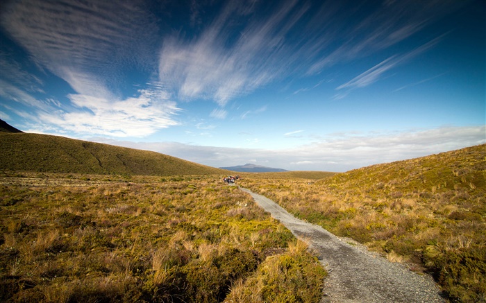 Гравийная дорога, трава, Полуостров Коромандель, Новая Зеландия обои,s изображение