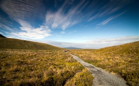 Гравийная дорога, трава, Полуостров Коромандель, Новая Зеландия HD обои
