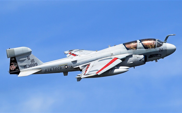 Grumman EA-6B Prowler самолет обои,s изображение
