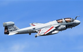 Grumman EA-6B Prowler самолет HD обои