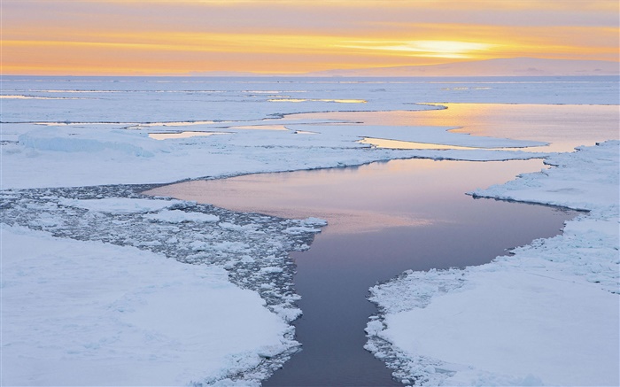 Лед, снег, море, побережье, восход солнца обои,s изображение