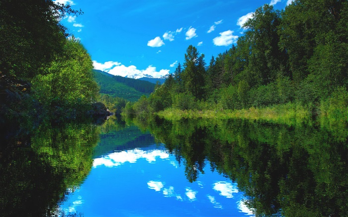 Озеро, лес, деревья, голубое небо, вода отражение обои,s изображение