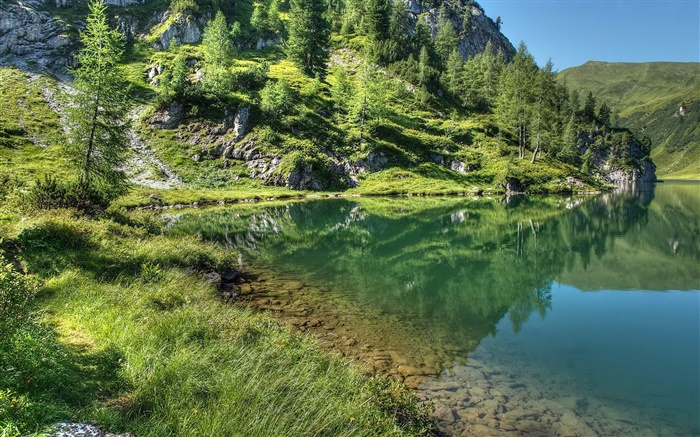 Озеро, горы, деревья, трава, вода отражение обои,s изображение