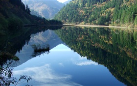 Озеро, горы, деревья, вода отражение HD обои