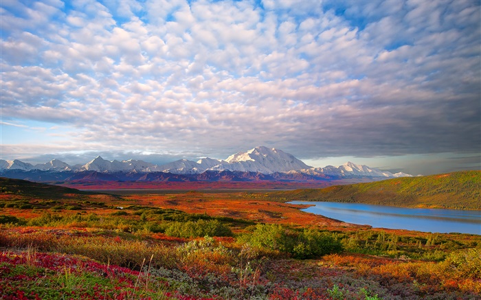 Озеро, деревья, облака, сумерки, Национальный парк Денали, Аляска, США обои,s изображение