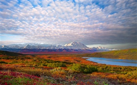 Озеро, деревья, облака, сумерки, Национальный парк Денали, Аляска, США HD обои