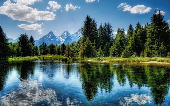 Озеро, деревья, горы, облака, вода отражение обои,s изображение