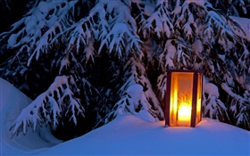 Горит фонарь, снежные дерево, зима
