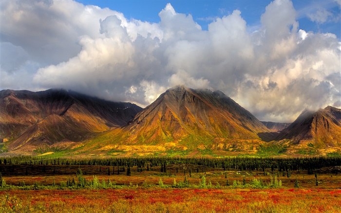 Горы, деревья, облака, Национальный парк Денали, Аляска, США обои,s изображение