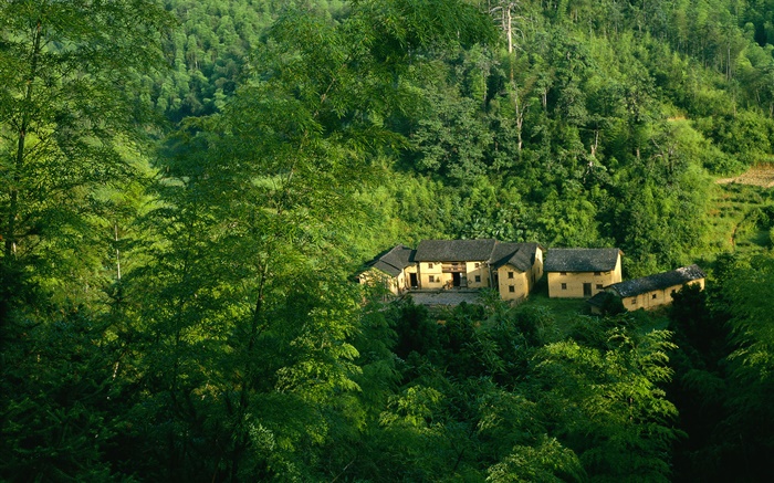 Горы, деревья, зеленый, старый дом, китайский пейзаж обои,s изображение