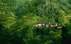 Горы, деревья, зеленый, старый дом, китайский пейзаж