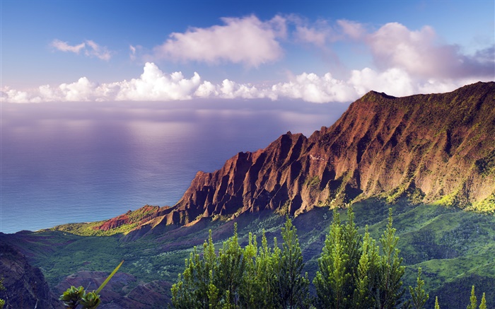 На Пали побережье State Park закат на Гавайях обои,s изображение