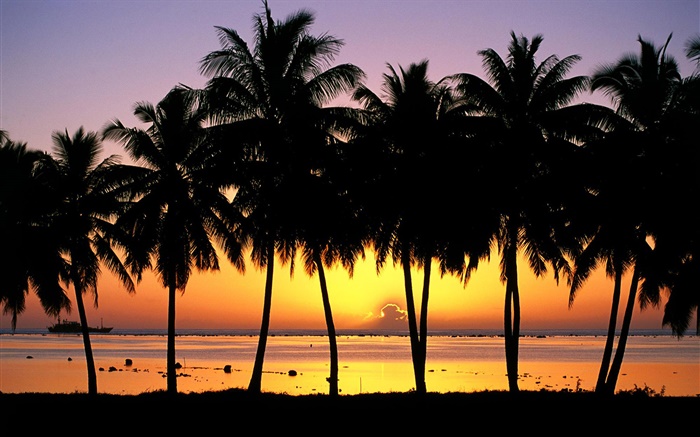 Пальмы, силуэт, закат, море, лодки обои,s изображение