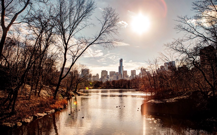 парк, закат, город, США, река, деревья, осень обои,s изображение