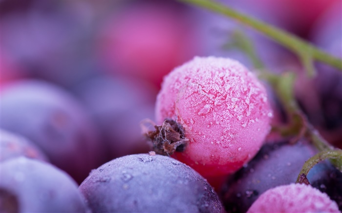 Розовые и фиолетовые ягоды, мороз, зима обои,s изображение