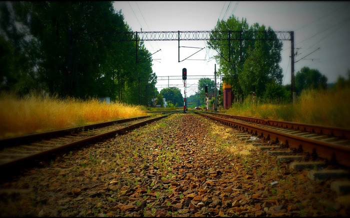 Железная дорога, деревья, линии электропередач, красный свет обои,s изображение