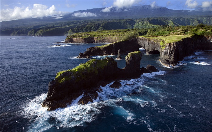 Скалистые берега, Тихий океан, Мауи, Гавайи обои,s изображение