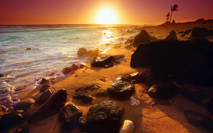Скалистых берегов, закат, Гавайи, США обои,s изображение