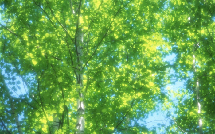 Лето березовый лес, солнце, размыты обои,s изображение
