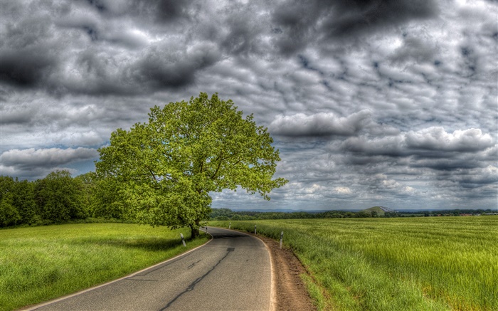 Густые облака, деревья, трава, дорога, дом обои,s изображение