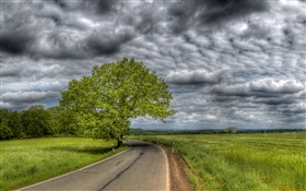 Густые облака, деревья, трава, дорога, дом HD обои