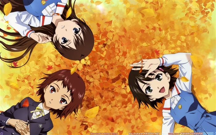 Три аниме девушки лежал наземные обои,s изображение