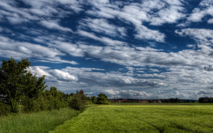 Деревья, поле, дом, облака обои,s изображение